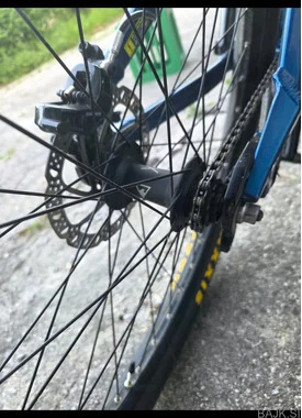 Bergamont kiez 2019