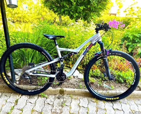Specialized Rumor (M) 29