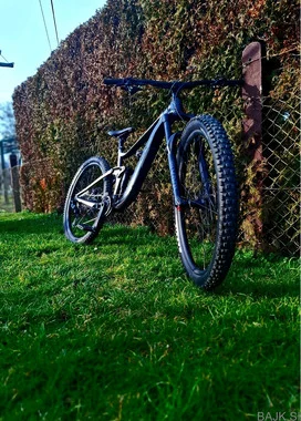 Giant reign 29