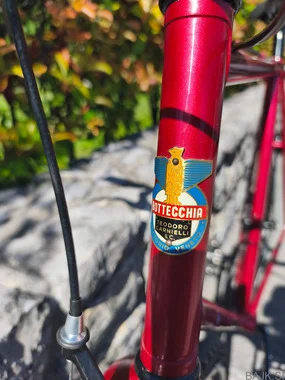 Moško mestno kolo Bottecchia