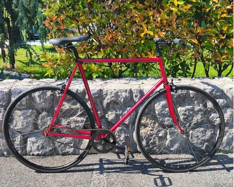 Moško mestno kolo Bottecchia