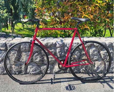 Moško mestno kolo Bottecchia