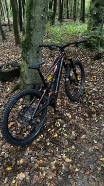 Specialized Turbo Levo Alloy Öhlins Coil LTD