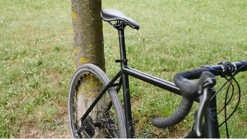 Kona Rove