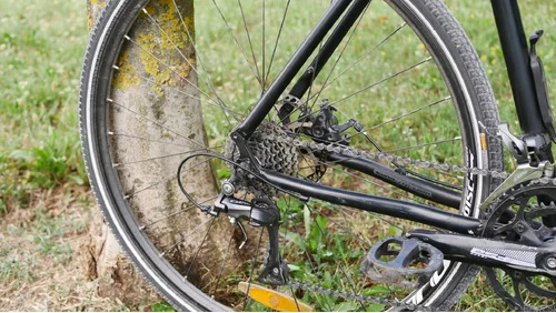 Kona Rove