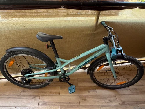Trek Wahoo 24