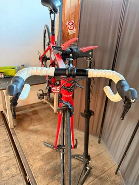 Focus izalco race