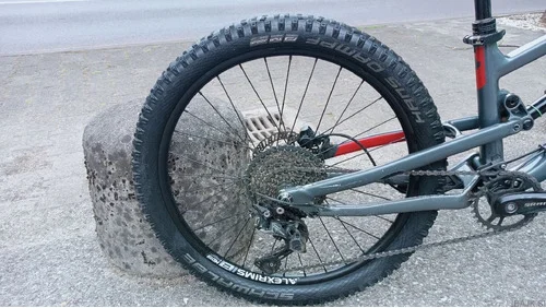 Norco fluid 24
