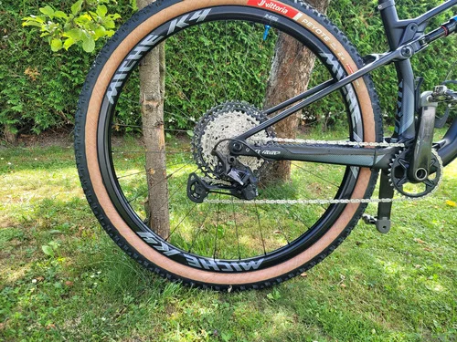 Wilier urta