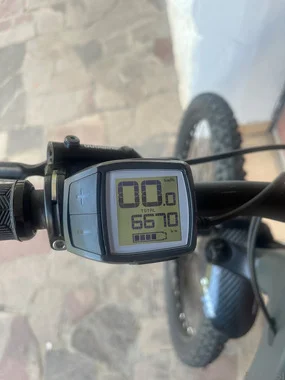 Trek Powerfly