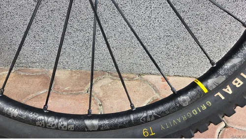 Mavic Dee Max 29 pro SAM HILL edition
