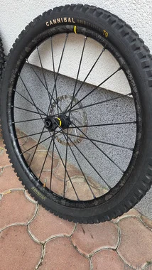 Mavic Dee Max 29 pro SAM HILL edition