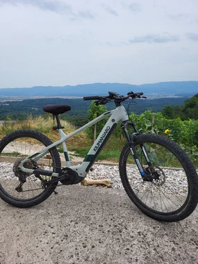 Kilimanjaro e-race 29