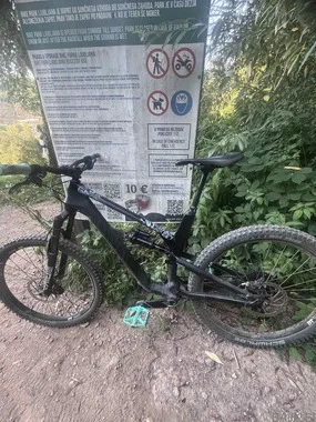 Canyon spectral cf 9 2021