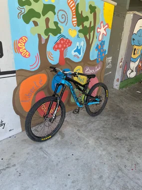 Lapierre zesty am 427 (CUSTOM)