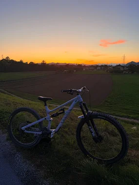 Canyon Torque Al 7 CENA NI ZADNJA