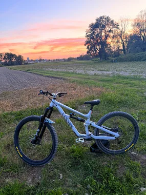 Canyon Torque Al 7 CENA NI ZADNJA