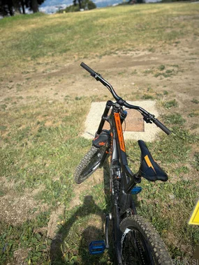 Nukeproof Pulse DH