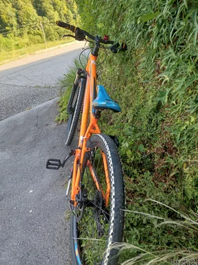 Lombardo mozija 26