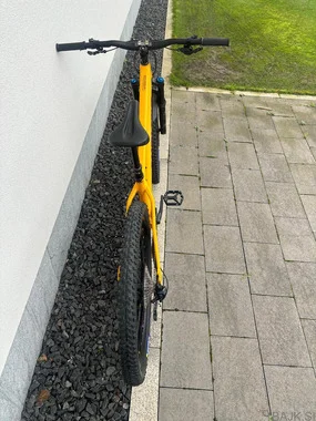 Santa Cruz Chameleon 29