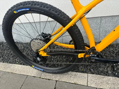 Santa Cruz Chameleon 29