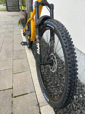 Santa Cruz Chameleon 29