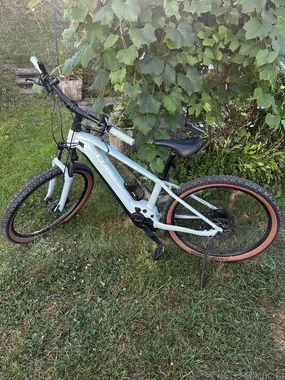 Električno gorsko kolo (e-MTB) – hardtail