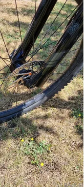 Prodam dobro ohranjeno kolo Scott Ransom 600