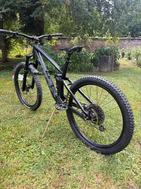 Trek Remedy 8