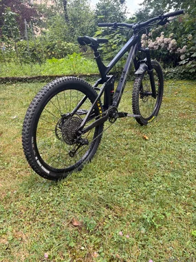 Trek Remedy 8
