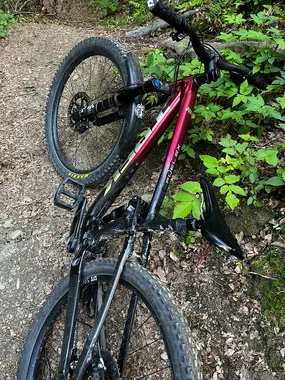Custom trek fuel ex 8