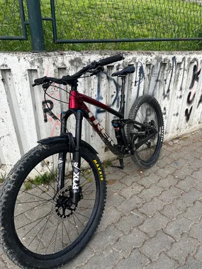 Custom trek fuel ex 8