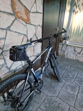Corratec X-Vert Motion Disc MTB 26