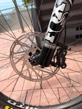 Vitus Escarpe 290 CR Carbon 29
