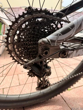 Vitus Escarpe 290 CR Carbon 29