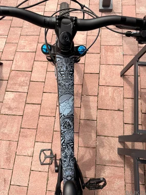 Vitus Escarpe 290 CR Carbon 29