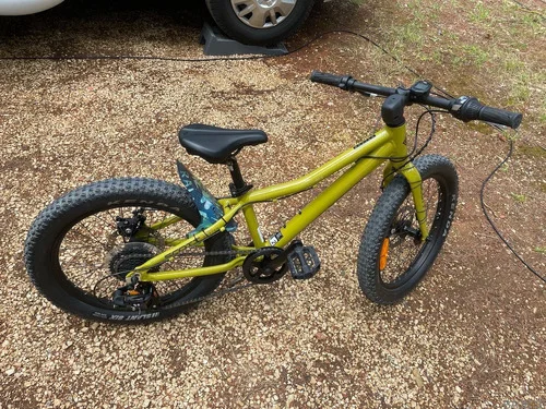 Scott Roxter 20"