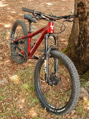 Nukeproof Cub Scout 24"