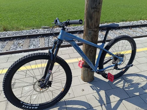 Nukeproof Scout 290 Race