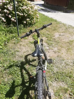 Scott Scale JR 20 – otroško gorsko kolo 20