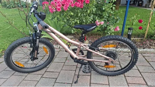 Scott Contessa. 20 colsko