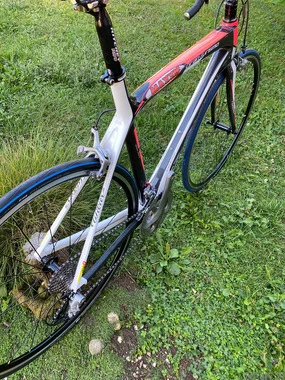 WILIER GRAN TURISMO z opremo Shimano Ultegra, cestno karbon kolo,velikost:L