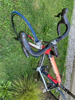 WILIER GRAN TURISMO z opremo Shimano Ultegra, cestno karbon kolo,velikost:L