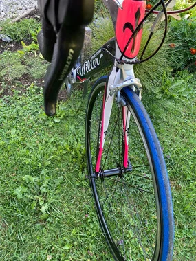 WILIER GRAN TURISMO z opremo Shimano Ultegra, cestno karbon kolo,velikost:L