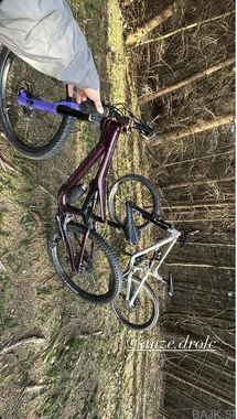 Orbea rallon 2022 frame