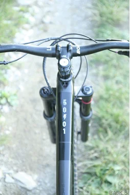Trek Remedy 8