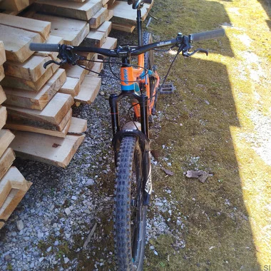 Giant  reing