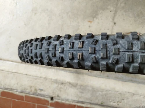 Schwalbe Hans Dampf in Magic Mary