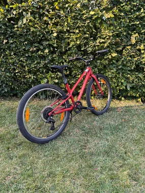 Specialized Jett 24