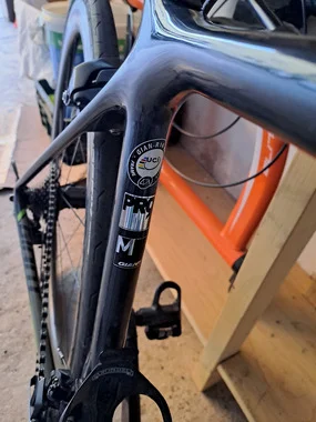 GIANT TCR